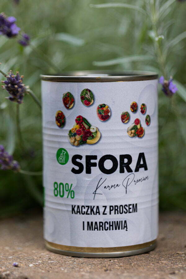 kaczka z prosem i marchwia