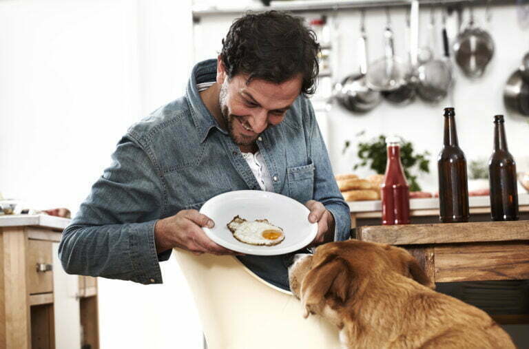 Czy pies może jeść jajka? 1 man showing plate with fried egg to dog 2022 12 16 22 27 48 utc