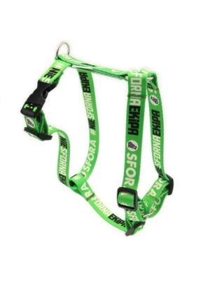 zielone guardy