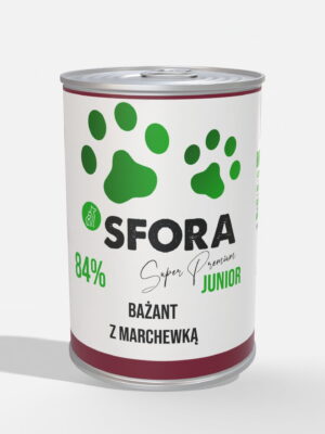 bazant junior