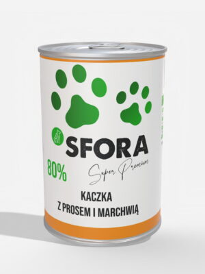 kaczka adult