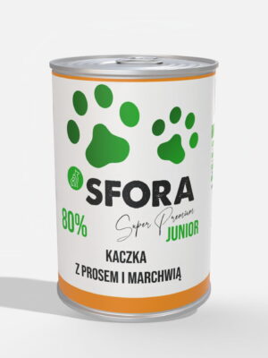 kaczka junior