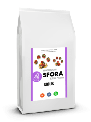 sfora paczka krolik transparent
