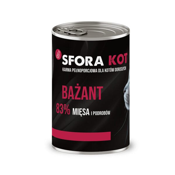 kot sfora bazant 1