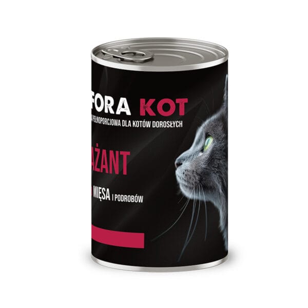 kot sfora bazant 2