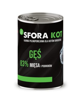 kot sfora ges 1