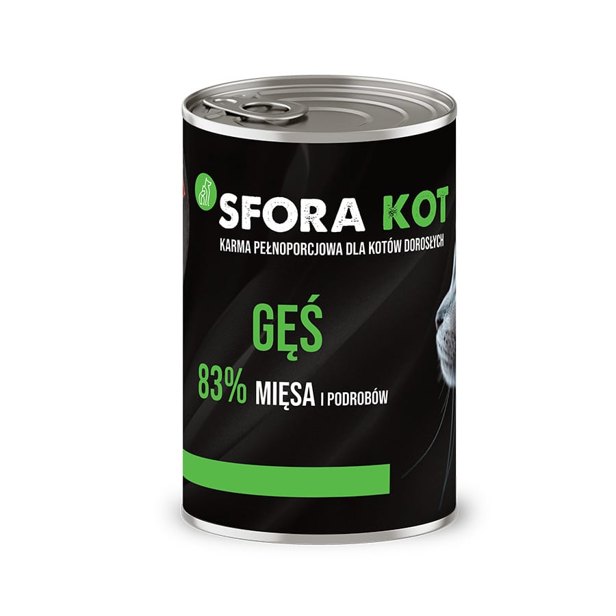 kot sfora ges 1