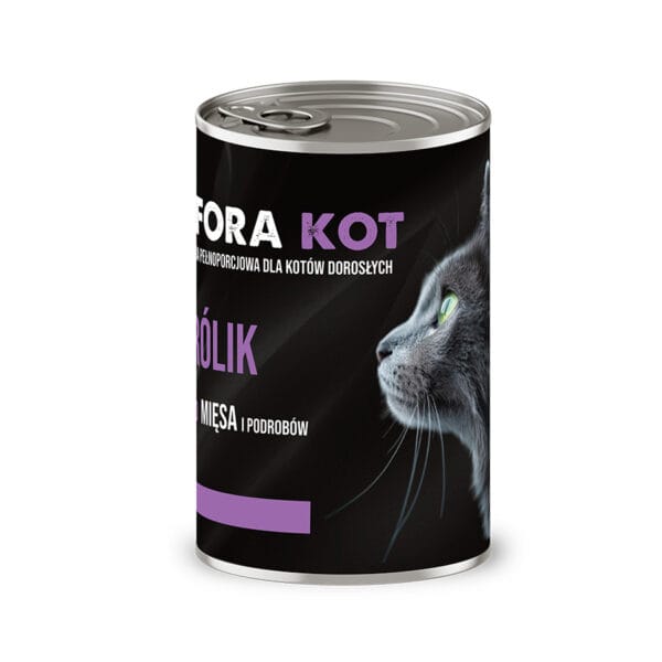 kot sfora krolik 2