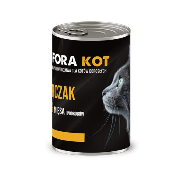 kot sfora kurczak 2